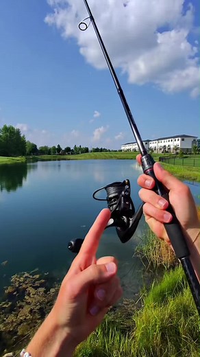 Catching Bluegill for Live Bait Success