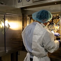 Video: Radiosynthesis of 1-2-[18F]Fluoroethyl-L-Tryptophan using a One-pot, Two-step Protocol