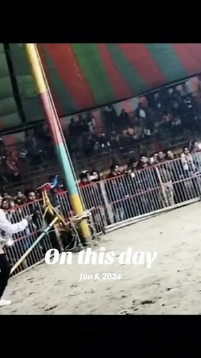 Circus Performance Highlights from January 8, 2024