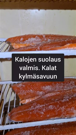 Kylmäsavulohen suolaus tuli valmiiksi. Mitäs sitten tehdään? Savustustarvikkeet löydät www.vakuumiukko.fi | Vakuumiukko.fi