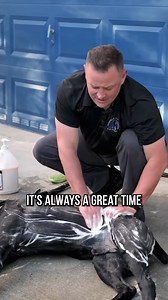 34K views · 490 reactions | 3 Pro Tips When Washing Your Dog #dog #dogs #puppy #doglover #dogtips #dogtrainingtricks #dogtraining #fypシ゚viralシ2023 | DIYK9 Dog Training | Facebook