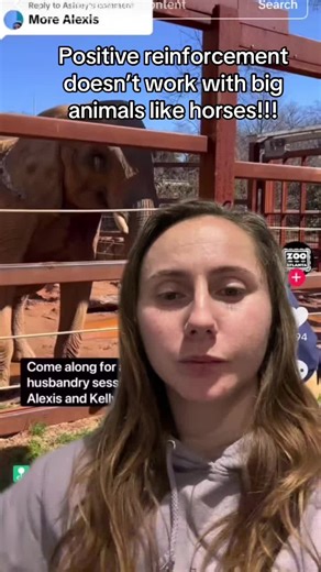 Understanding Horse Behavior and Positive Reinforcement