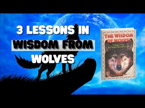 3 Lessons We Can Learn from Wolves | The Wisdom of Wolves