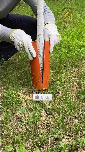 Never Damage a Tree With Your String Trimmer Again (PVC Hack)