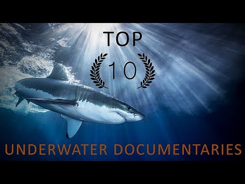 BEST UNDERWATER DOCUMENTARIES TO WATCH NOW