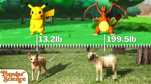 A 3D Comparison of Pokémon Characters Matched With Real Animals of the Same Weight