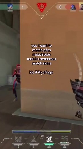Match Usernames and Skins in Valorant