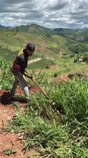 Receitas Deliciosas com Mandioca para Todos os Gostos
