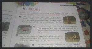 9 Rodentia Rodents are mammals whose name literally means 'gnaw... | Filo