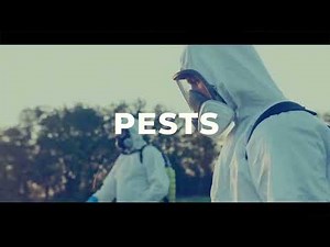 Elite Pest Control: Safeguarding Your Home and Business from Unwanted Guests