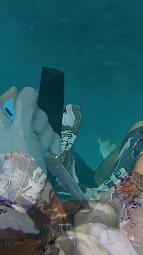 When Triggerfish Attack - Spearfishing Gone Wrong