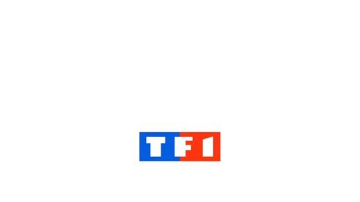 (搬运巧影) TF1/TF! Logo 2025 Animation