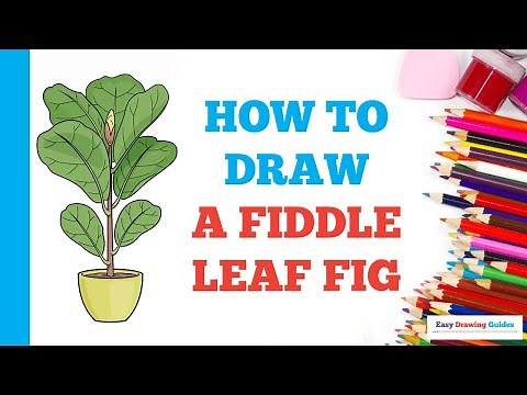 How to Draw a Fiddle Leaf Fig: Easy Step by Step Drawing Tutorial for Beginners