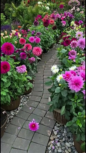 Watch This Flower's Surprising Journey!