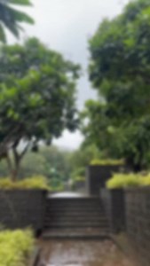 31K views · 237 reactions | @bhiwandi_stalwarts_institute par Data Analytics ka computer course karaya jata hai Add: Contact: ___ #bhiwandi #bhiwandicity | Bhiwandi City | Facebook