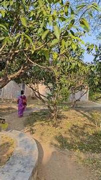 "சிட்லிங்க்" க்கு சின்னதா ஒரு விசிட் l Small visit to "Sittilingi" l #tamarind #forest #tribal