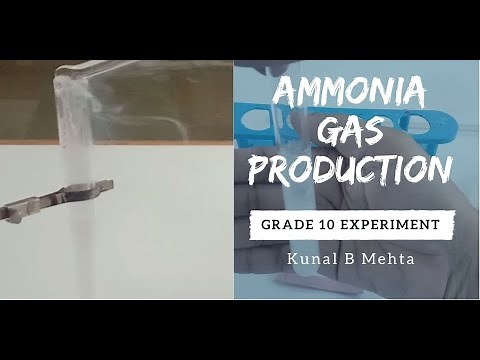 Production of Ammonia (NH3) gas in Lab | Board Exam Experiment | Grade 10 | Chemistry