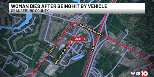 Coroner: Woman struck, killed by car while walking dog in Orangeburg County