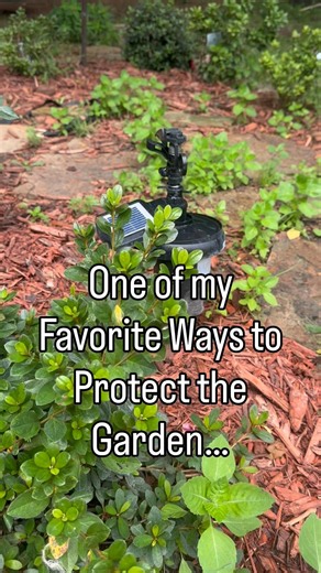 This Motion-Activated Sprinkler Keeps Garden Pests Away!