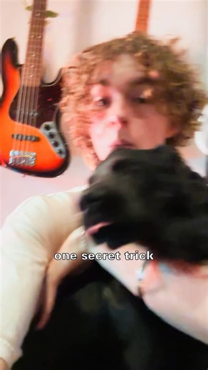 When SongStarter gives you musical ideas, rework it in your unique style and make a fresh hit 🍋 #bandlab #audioproduction #musictips #musictutorials #musicproduction #ai | BandLab