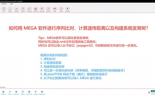 如何使用 MEGA 软件进行序列比对，计算遗传距离和构建系统发育树？