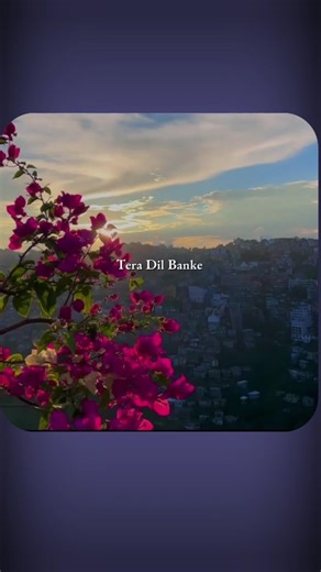 Tera Dil banke| #trend #short #viral #shortsfeed #shorts #short #lyrics #trending #trendingshorts