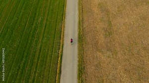 Woman cyclist cycling on asphalt road separating two fields of green and yellow color air view. Bicycle ride through farm fields in spring drone view. Two-colored agricultural field split by road.