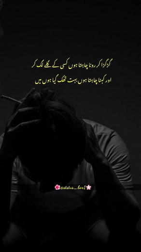 Status Box1 on TikTok