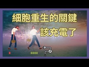 為自己充電、維持高能量與活力｜從人類電磁系統看身體細胞的重生