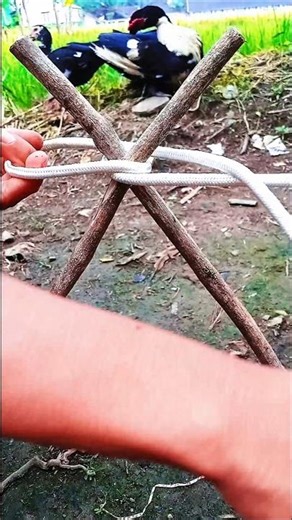 “This knot makes garden work easier!!”#shortvideo #knot