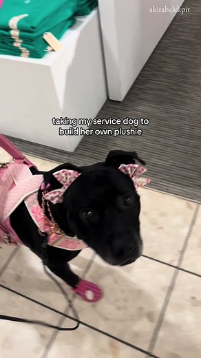 Service Dog Takes Her Own Plushie: Build A Bear Fun!