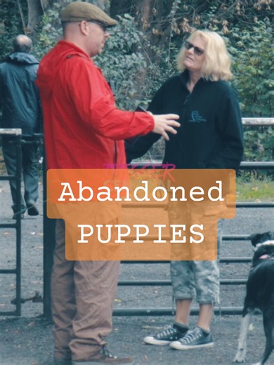Abandoned PUPPIES?? 🐶 #funnyvideo #reaction #dogsofinstagram #comedy