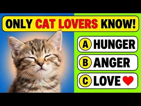 Are You a Cat Expert? Prove It! 50 Questions to Test Your Feline IQ 🐱