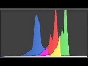 Dynamic Range and Histograms - (Photography Basics, Chapter 9)
