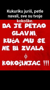 @KUKURIKU PETLE, SVE SU TVOJE KOKOŠKE@ | Snezana Velickovic