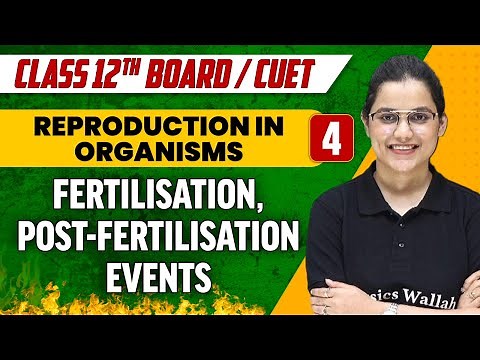 Reproduction in Organisms 04 | Fertilisation & Post-Fertilisation Events | Class 12th/CUET