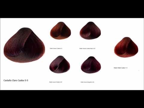 Teñir el pelo con tinte castaño claro caoba con reflejos caobas, violetas o rojos