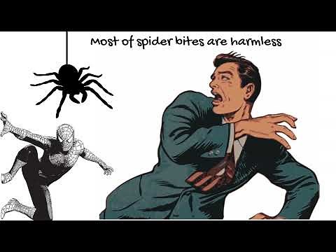Spider sting- Symptoms and Treatment, which spider bites are most dangerous?