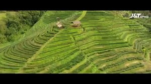 9.7K views · 314 reactions | The all new J&T Express - Fresh Delivery...