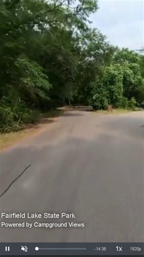 Full hookups, lakeside breezes, and plenty of elbow room. Fairfield Lake State Park offers RV-friendly sites with peaceful surroundings—ideal for snowbirds, long-weekenders, or anyone who wants a quieter stay with great scenery. Tour the loops virtually and reserve with certainty. 🔗 Follow @campground.views for clear views of where you’ll park and play. #TexasRVSpots #CampgroundViews #FairfieldLakeStatePark #RelaxedCamping #CampWithEase #SnowbirdCamping #LakefrontGetaway