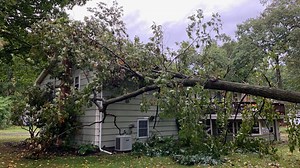 7,000 Outages Reported in Conn. After High Winds Move Through