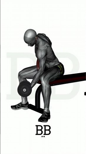 Concentration Curl (BICEPS): Build a Massive Peak! 💪