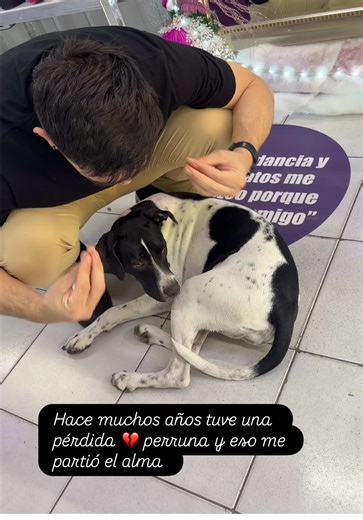 La vida te sorprende con amor por los perros