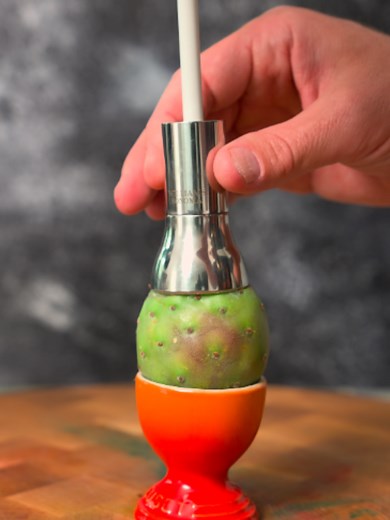 Easiest Way to Slice a Cactus Flower Safely