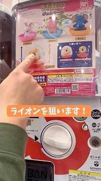 映画絶賛公開中たべっ子どうぶつガチャガチャやってみた！ #ガチャガチャ #たべっこどうぶつ #映画たべっ子どうぶつ