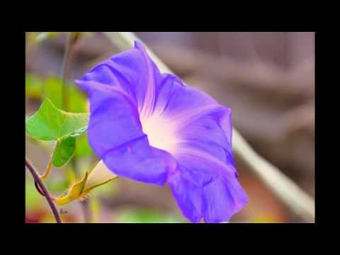 [HD]それでも明日はやってくる