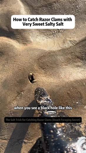 How to Catch Razor Clams Using Salt Technique