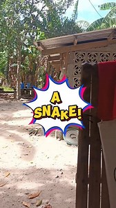32K views · 127 reactions | GIRLFRIEND SNAKE PRANK! #prankwars #prank #girlfriendprank #Philippines | Dillon James McClure | Facebook