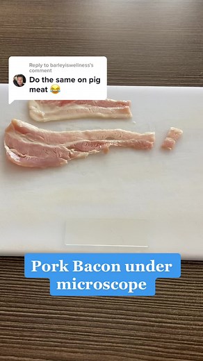 Exploring Pork Bacon Under Microscope
