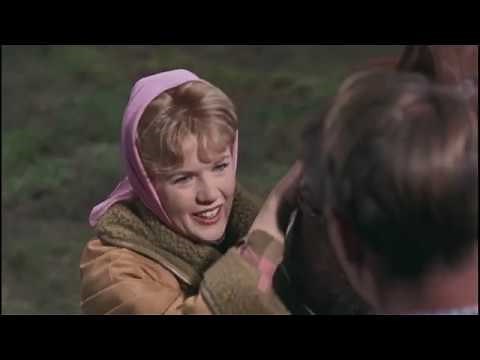 Susan Slade (1961) - Scene with Connie Stevens, Troy Donahue, and Bert Convy